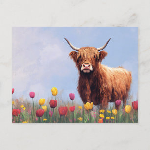 Highland Koe in een veld van tulpen Briefkaart