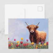 Highland Koe in een veld van tulpen Briefkaart (Voorkant / Achterkant)
