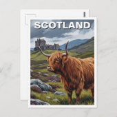 Highland Koe in Schotland Reizen Briefkaart (Voorkant / Achterkant)