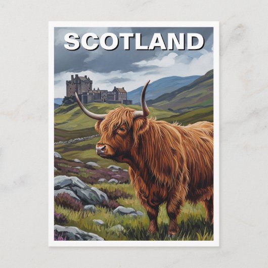 Highland Koe in Schotland Reizen Briefkaart (Voorkant)