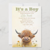 Highland koe, jongen baby shower uitnodiging (Voorkant)