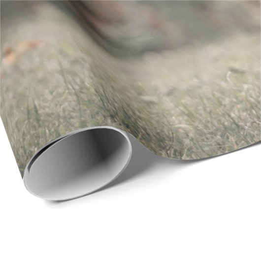 Highland koe kalf herfstgras monogram initiaal cadeaupapier (Rol Hoek)