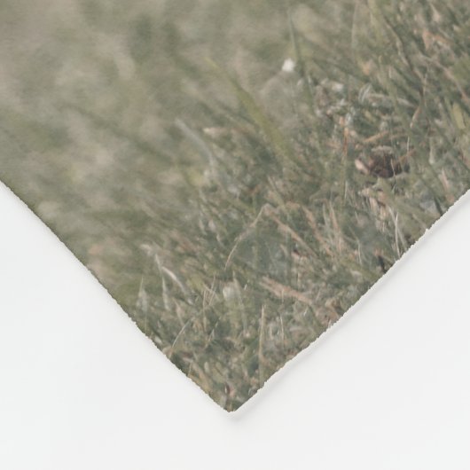 Highland koe kalf herfstgras monogram initiaal fleece deken (Hoek)