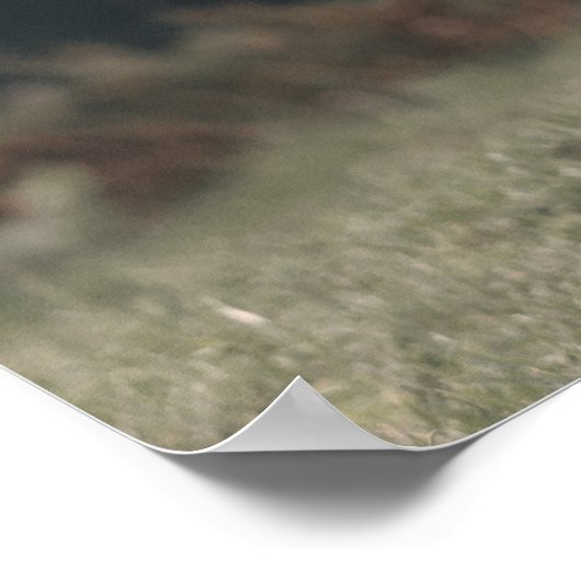 Highland koe kalf herfstgras monogram initiaal poster (Hoek)