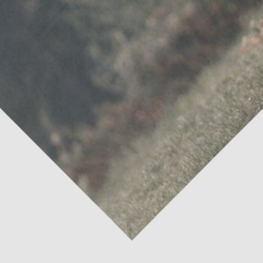 Highland koe kalf herfstgras monogram initiaal tissuepapier (Detail)