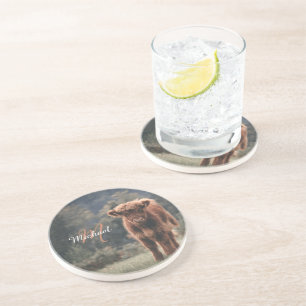 Highland koe kalf herfstgras monogram initiaal zandsteen onderzetter