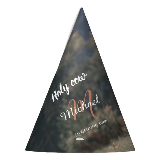 Highland koe kalf monogram eerste verjaardagsfeest feesthoedjes (Links)