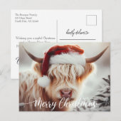 Highland Koe Kerst Kaart Briefkaart (Voorkant / Achterkant)