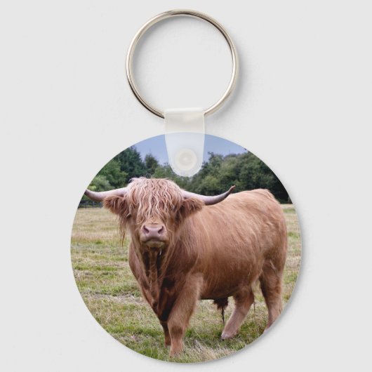 Highland Koe Keyring Sleutelhanger (Voorkant)