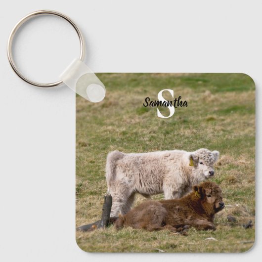 Highland Koe Keyring Sleutelhanger (Voorkant)