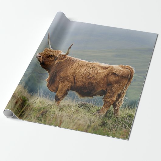 Highland Koe Misty Morning Decoupage Cadeaupapier (Uitgerold)