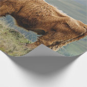 Highland Koe Misty Morning Decoupage Cadeaupapier (Hoek)