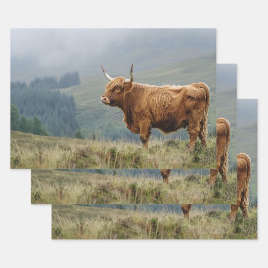 Highland Koe Misty Morning Decoupage Inpakpapier Vel (Set)