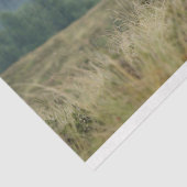 Highland Koe Misty Morning Decoupage Tissuepapier (Detail)