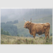 Highland Koe Misty Morning Decoupage Tissuepapier (Voorkant)