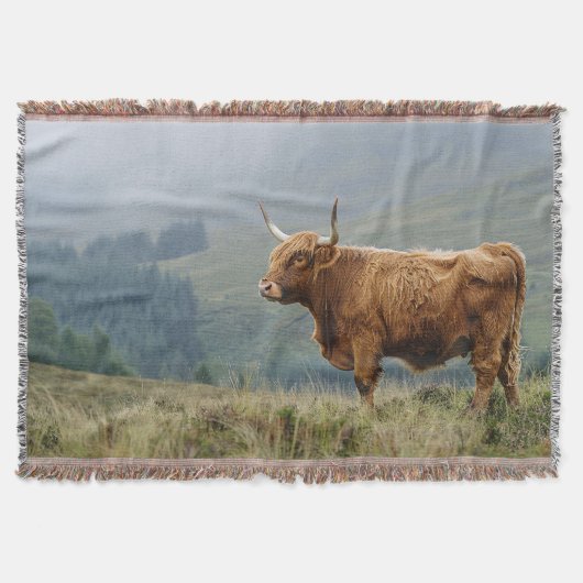 Highland Koe Misty Morning Deken (Voorkant)