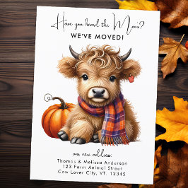 Highland Koe Nieuw adres We hebben Autumn Moving v Aankondiging