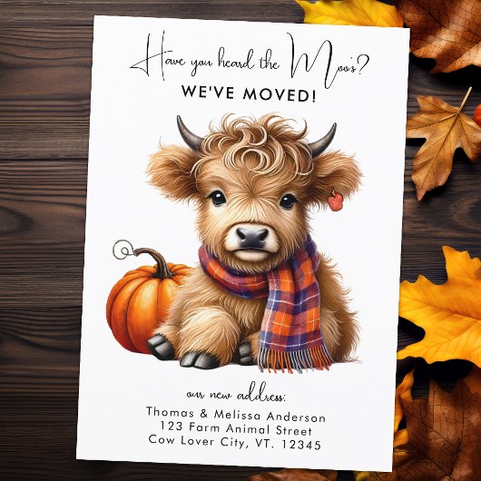 Highland Koe Nieuw adres We hebben Autumn Moving v Aankondiging
