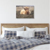 Highland Koe op Dartmoor Canvas Afdruk (Insitu (Slaapkamer))