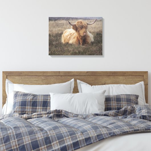 Highland Koe op Dartmoor Canvas Afdruk (Insitu (Slaapkamer))
