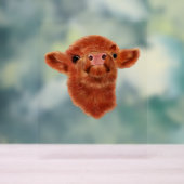 Highland Koe Oversized T-shirt Acryl Bord (Neutraal)