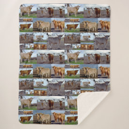 Highland Koe Photo Collage, Large Sherpa Blanket Sherpa Deken