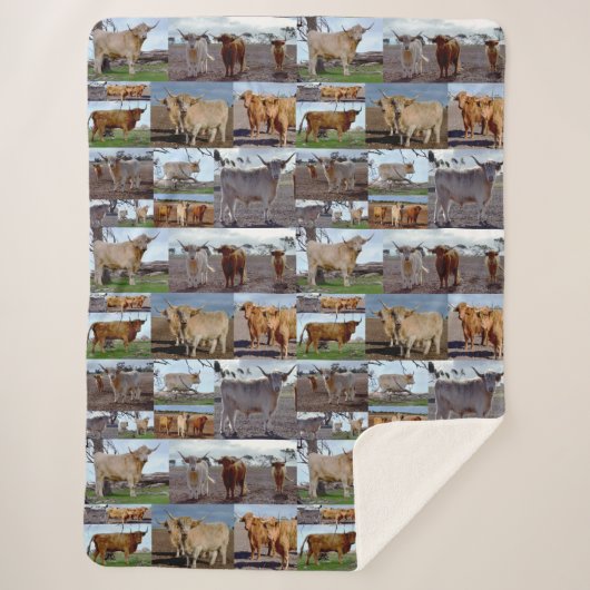 Highland Koe Photo Collage, Large Sherpa Blanket Sherpa Deken (Voorkant)