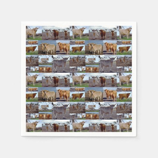 Highland Koe Photo Collage, Paper Napkins Servet (Voorkant)