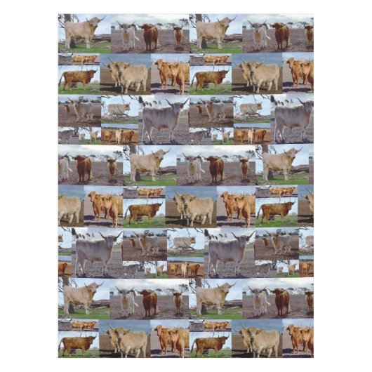Highland Koe Photo Collage Tafelkleed (Voorkant)
