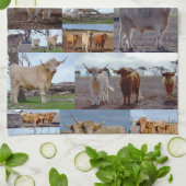 Highland Koe Photo Collage Theedoek (Gevouwen)