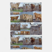 Highland Koe Photo Collage Theedoek (Verticaal)