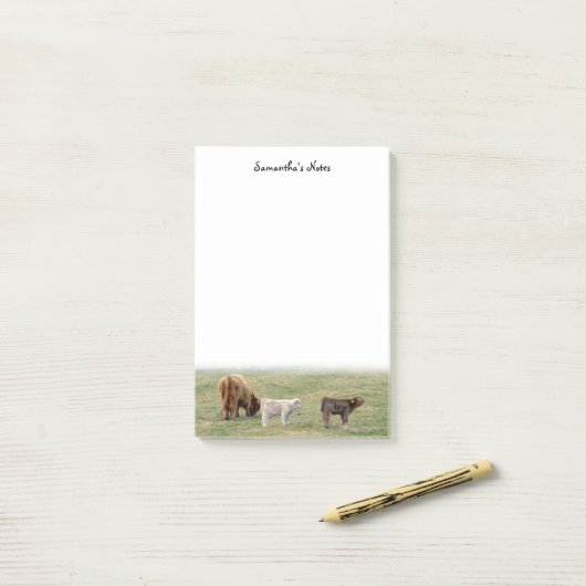 Highland Koe Post-It Notes (Op bureau)