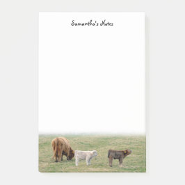 Highland Koe Post-It Notes