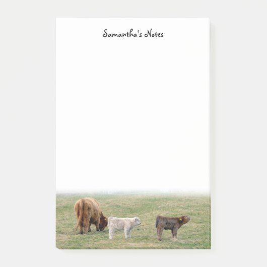 Highland Koe Post-It Notes (Voorkant)