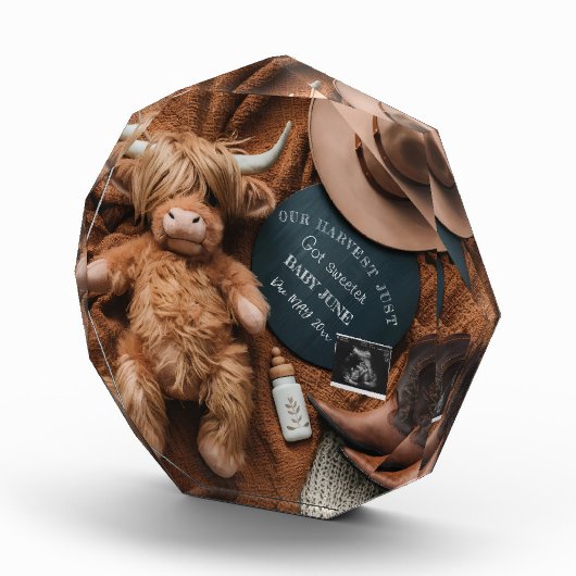 Highland Koe Rustic boerderij zwangerschapsaankond Fotoblokken (Rechts)