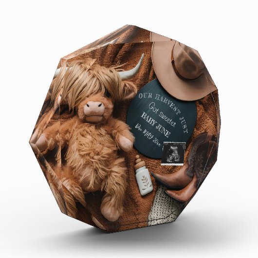 Highland Koe Rustic boerderij zwangerschapsaankond Fotoblokken (Links)