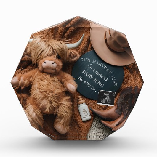 Highland Koe Rustic boerderij zwangerschapsaankond Fotoblokken (Voorkant)