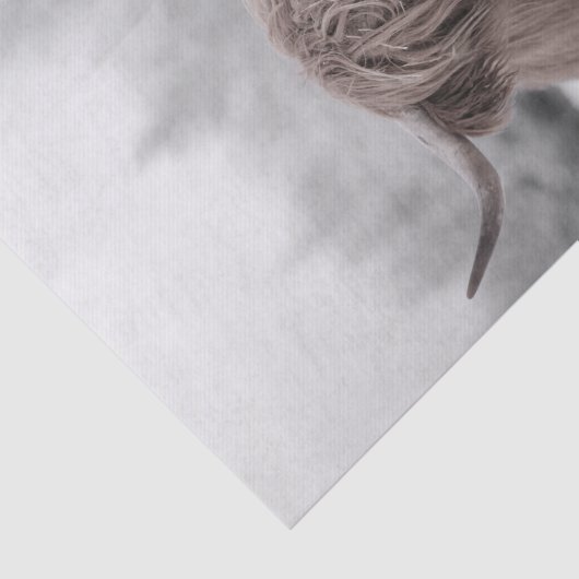 Highland Koe Schotland Landelijk Vloeipapier Tissuepapier (Detail)