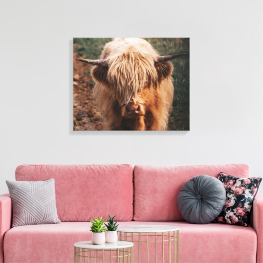 Highland Koe Scotland Canvas Afdruk (Insitu (Woonkamer))