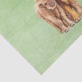 Highland Koe Scotland Mama Baby Eucalyptus Tissuepapier (Detail)