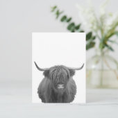 Highland Koe Scotland Rustic Black White Briefkaart (Staand voorkant)