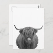 Highland Koe Scotland Rustic Black White Briefkaart (Voorkant / Achterkant)