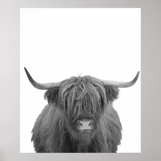 Highland Koe Scotland Rustic Black White Poster (Voorkant)