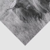 Highland Koe Scotland Rustic Black White Tissue Tissuepapier (Detail)
