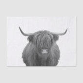 Highland Koe Scotland Rustic Black White Tissuepapier (Voorkant)