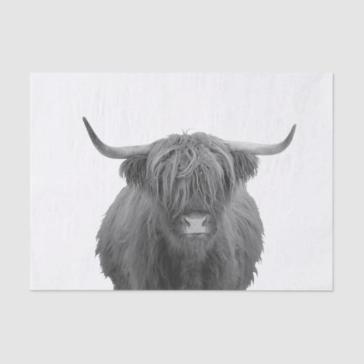 Highland Koe Scotland Rustic Black White Tissuepapier (Voorkant)