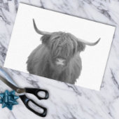 Highland Koe Scotland Rustic Black White Tissuepapier