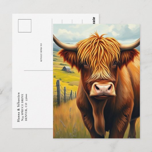 Highland Koe Scotland Rustic Boerderij Briefkaart (Voorkant / Achterkant)