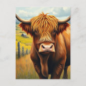 Highland Koe Scotland Rustic Boerderij Briefkaart (Voorkant)
