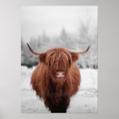 Highland Koe Scotland Rustic Boerderij Poster (Voorkant)